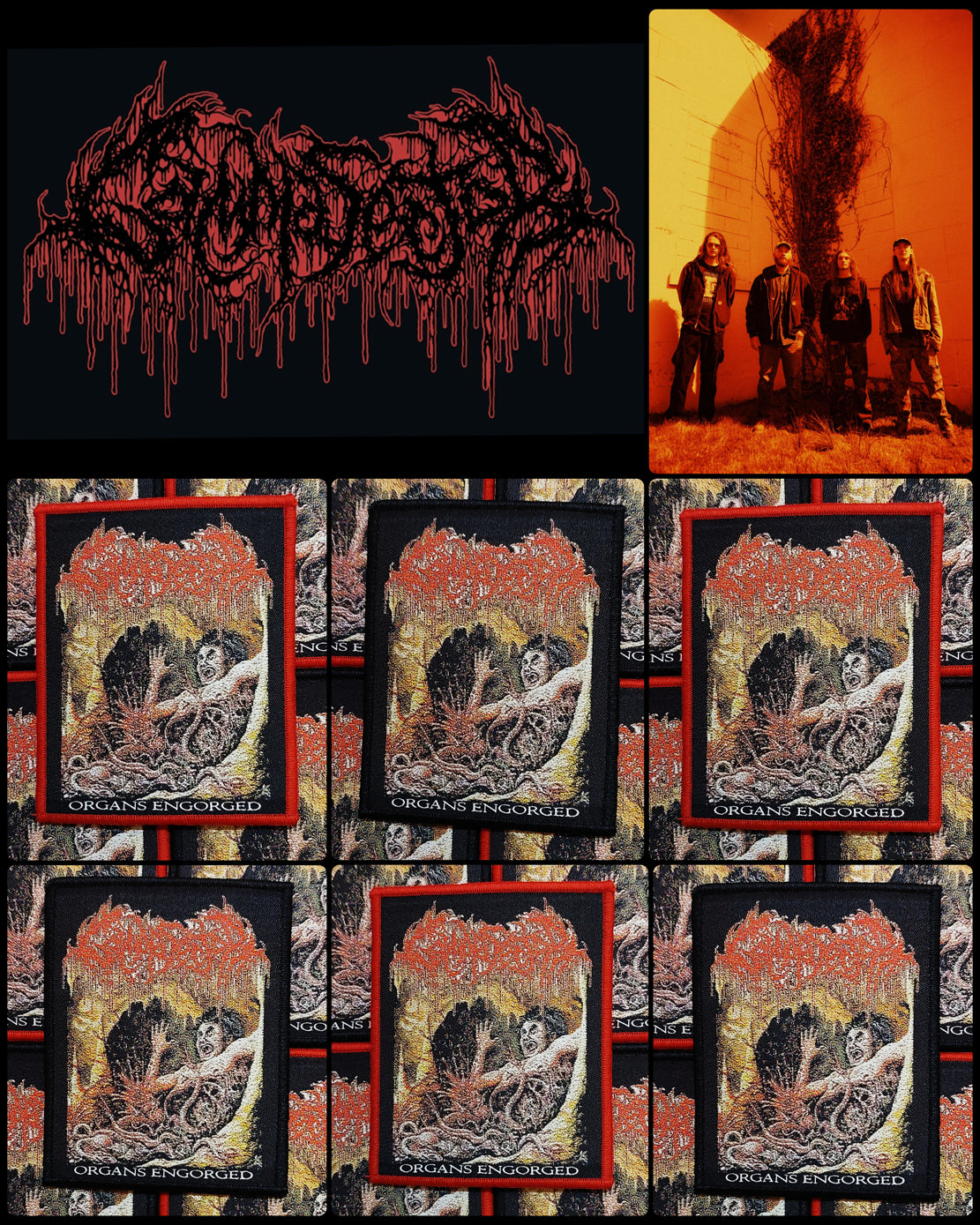 GAMMA SECTOR (US)- Organs Engorged