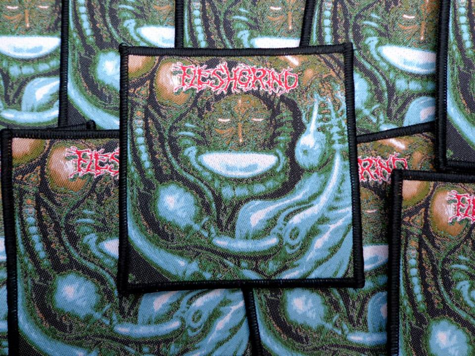 FLESHGRIND (USA) - Destined to Defilement