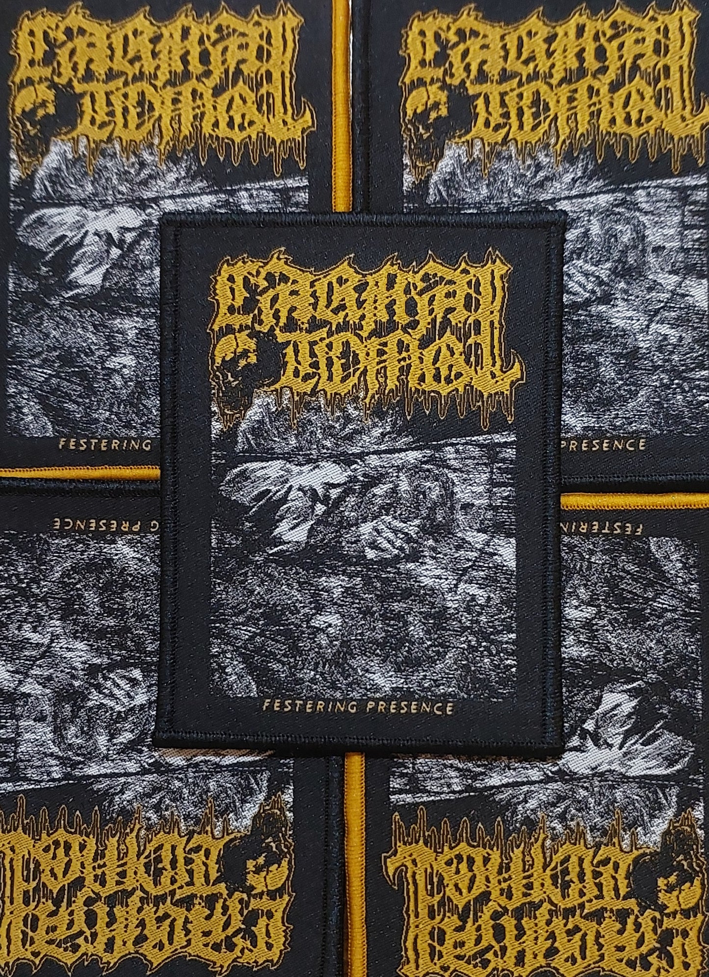 CARNAL TOMB (DE) - Festering Presence